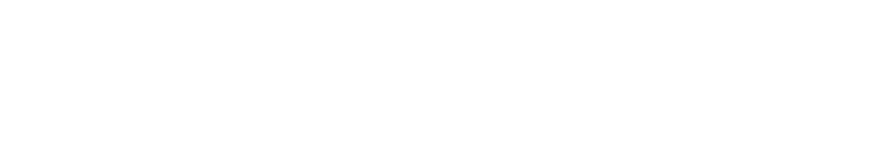 Next Level Pro